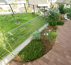 曲線を用いた柔らかな菜園スペース