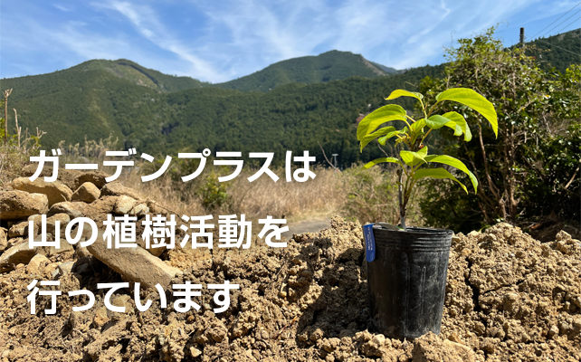 ガーデンプラスは山の植樹活動を行っています