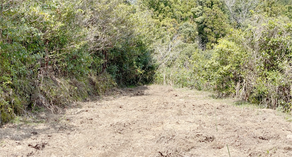 植樹前の荒れた耕作放棄地