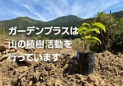 植樹活動