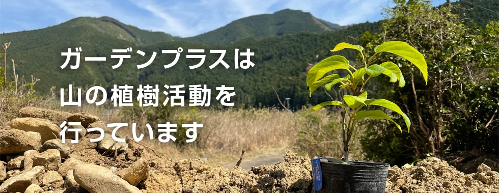 ガーデンプラスは山の植樹活動を行っています
