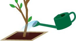 記念樹の植え方 育て方 外構工事のガーデンプラス